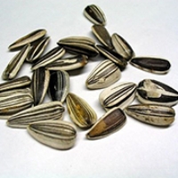 サンフラワーオイル