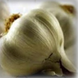 ニンニク
