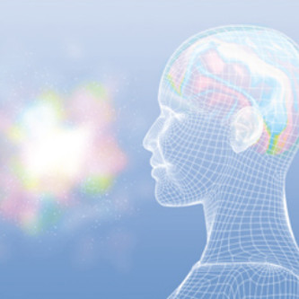 デイリーシールディングテクノロジー